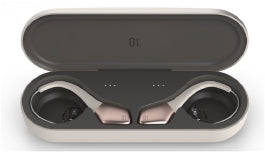 SD1 receiver-in-canal hearing aid