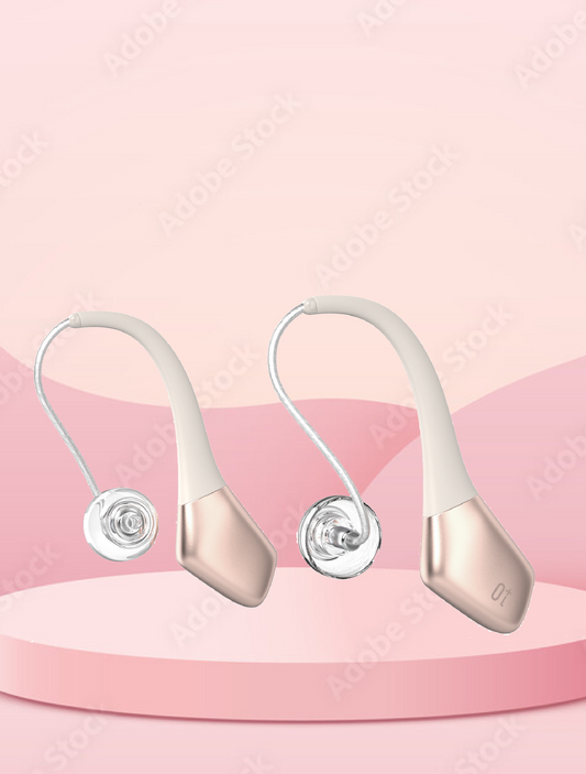 SD1 receiver-in-canal hearing aid